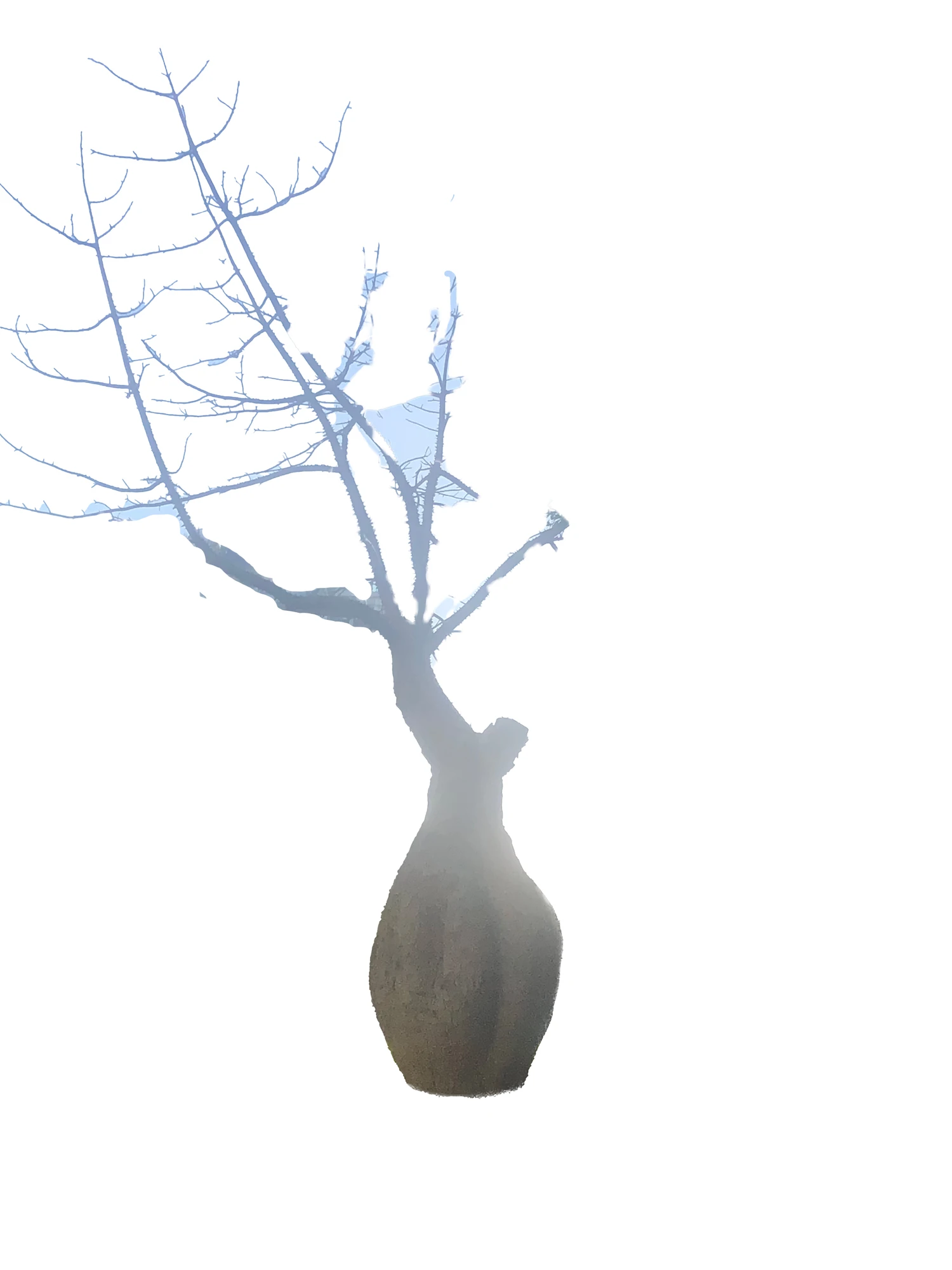 Making of Tree